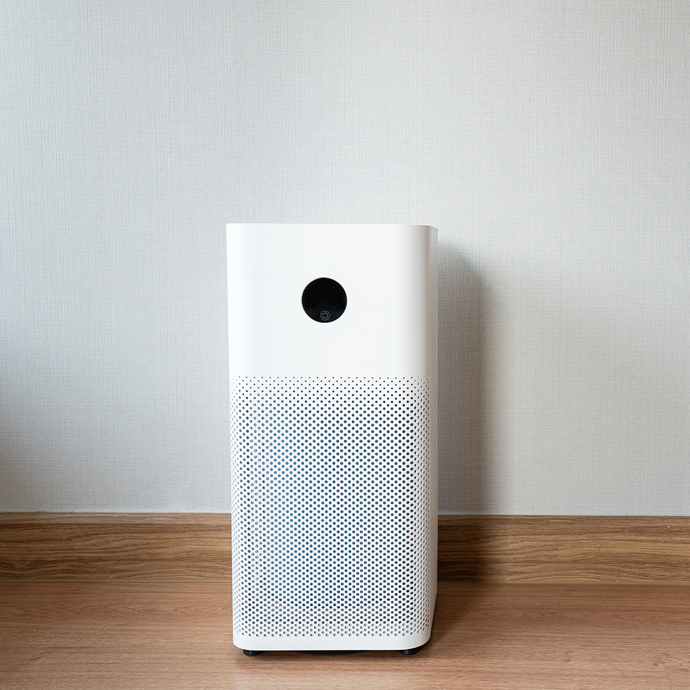 Air Purifiers, Pro-Cleaners, & More Keep Them Healthy